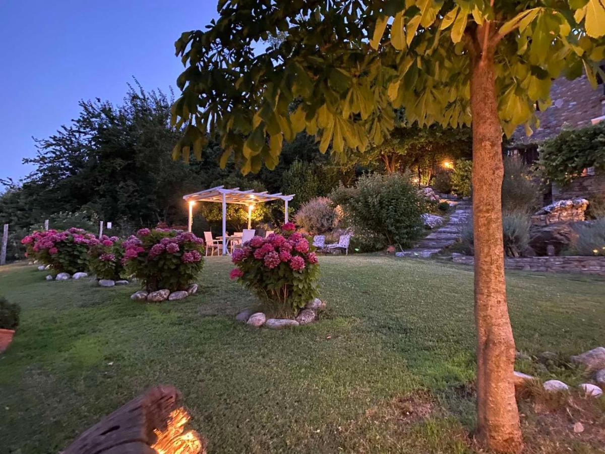 Hotel Maistra Цагарада Экстерьер фото