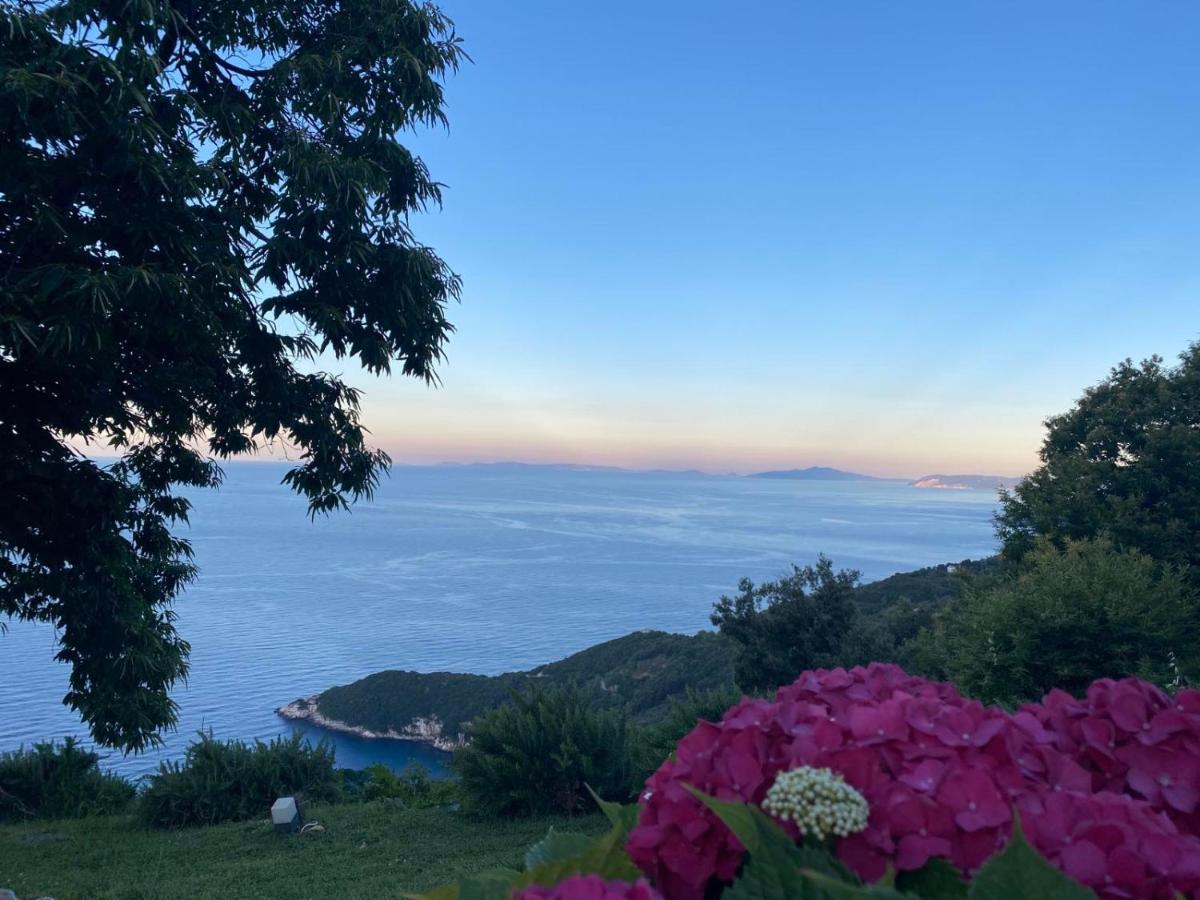 Hotel Maistra Цагарада Экстерьер фото