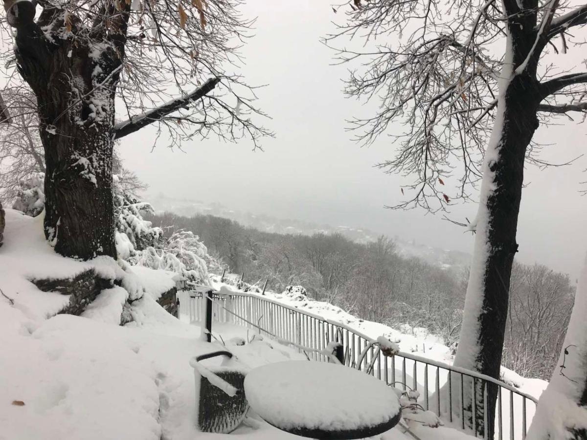 Hotel Maistra Цагарада Экстерьер фото